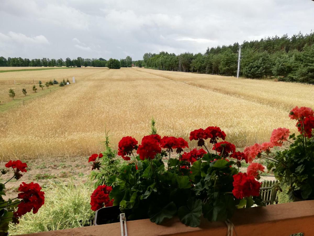 Agroturismo Maciejówka *