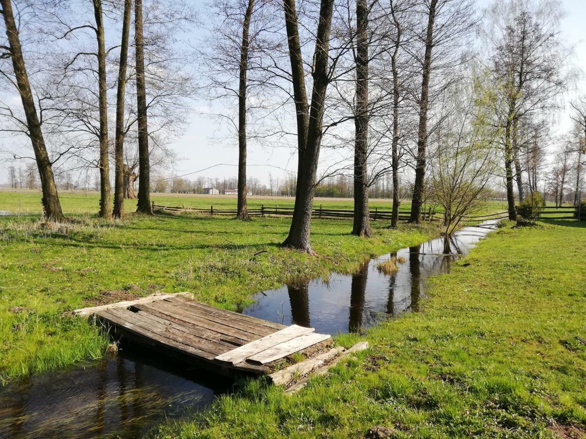 Maciejówka *